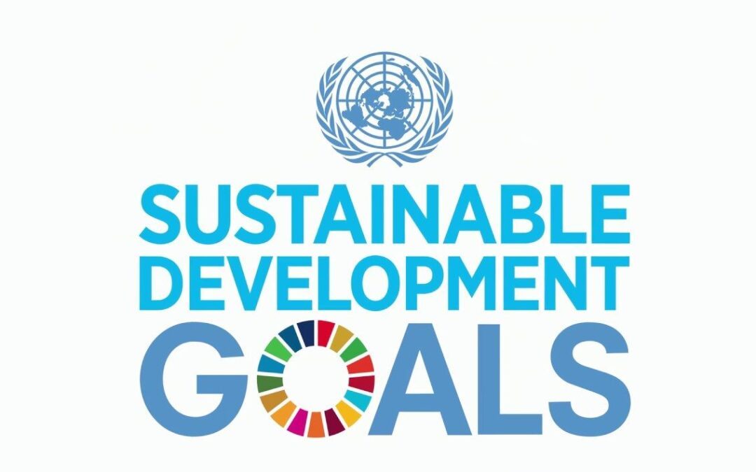 United Nations Sustainable Development Goals